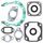 Complete Gasket Kit with Oil Seals WINDEROSA 711011