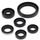 Engine Oil Seal Kit WINDEROSA 822334