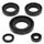 Engine Oil Seal Kit WINDEROSA 822230