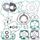 Complete Gasket Kit with Oil Seals WINDEROSA 811308