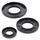 Oil seal set WINDEROSA 622201
