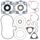 Complete Gasket Kit with Oil Seals WINDEROSA 711230