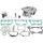 Standard Bore Cylinder Kit CYLINDER WORKS CW50013K01