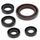 Engine Oil Seal Kit WINDEROSA 822327