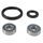 Wheel Bearing Kit All Balls Racing 25-1745