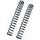 Spare springs kit BITUBO for cartridges ABB (+1 Lt. Oil)