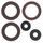 Engine Oil Seal Kit WINDEROSA 822362