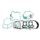 Set tesnil motorja RMS 100689881