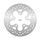 Zavorni disk NG 2010