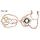 Set tesnil motorja RMS 100686540