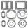 Complete Gasket Kit with Oil Seals WINDEROSA 711184
