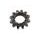 Kickstart gear RMS 100250395