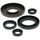 Engine Oil Seal Kit WINDEROSA 822208