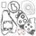 Complete Gasket Kit with Oil Seals WINDEROSA 811544