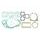 Celoten set tesnil za motor ATHENA P400510850506