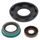 Engine Oil Seal Kit WINDEROSA 822345