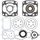Complete Gasket Kit with Oil Seals WINDEROSA 711290