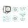 TOPEND set tesnil za motor ATHENA P400210600074