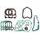Set tesnil motorja RMS 100684230