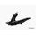 Zadnji blatnik PUIG S 3484J matt black
