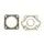 Celoten set tesnil za motor ATHENA P400100850080