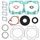 Complete Gasket Kit with Oil Seals WINDEROSA 711147B