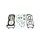 Set tesnil za motor ATHENA P400510160008