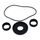 Differential Seal Only Kit All Balls Racing 25-2133-5 spredaj