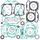 Complete Gasket Kit with Oil Seals WINDEROSA 811956