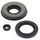 Engine Oil Seal Kit WINDEROSA 55203