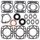 Complete Gasket Kit with Oil Seals WINDEROSA 711109A