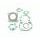 TOPEND set tesnil za motor ATHENA P400510600002
