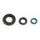Set tesnil motorja za olje (Engine Oil Seals Kit) ATHENA P400210400213