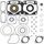 Complete Gasket Kit with Oil Seals WINDEROSA 711226