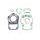 TOPEND set tesnil za motor ATHENA P400510600102