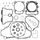 Complete Gasket Kit with Oil Seals WINDEROSA 811676