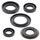 Engine Oil Seal Kit WINDEROSA 822308
