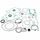Complete Gasket Kit with Oil Seals WINDEROSA 8110028