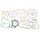 Celoten set tesnil za motor ATHENA P400010850020