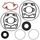 Complete Gasket Kit with Oil Seals WINDEROSA 711170