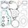 Complete Gasket Kit with Oil Seals WINDEROSA 811587