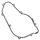 Ignition cover gasket WINDEROSA 816268