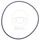 Water pump seal ATHENA M752510100004 O-Ring