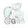 Celoten set tesnil za motor ATHENA P400210850185