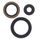 Engine Oil Seal Kit WINDEROSA 822143
