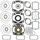Complete Gasket Kit with Oil Seals WINDEROSA 711216