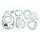 Celoten set tesnil za motor ATHENA P400250850265