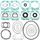 Complete gasket set with oil seal WINDEROSA 611204