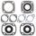 Complete Gasket Kit with Oil Seals WINDEROSA 711064R