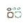 TOPEND set tesnil za motor ATHENA P400510600013